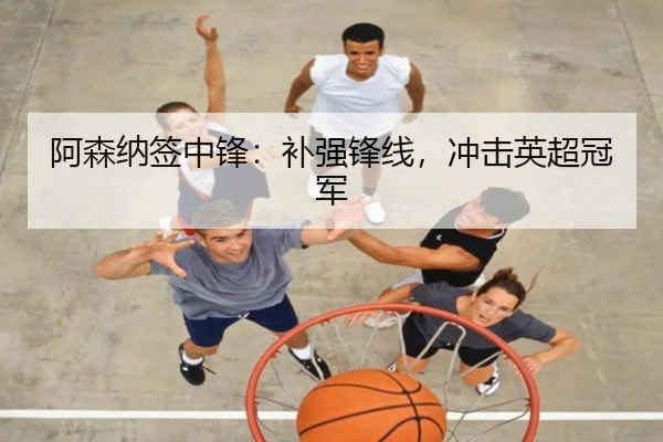 阿森纳签中锋：补强锋线，冲击英超冠军
