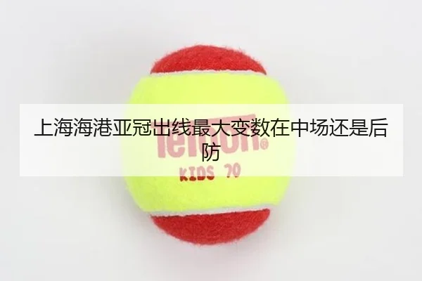 上海海港亚冠出线最大变数在中场还是后防